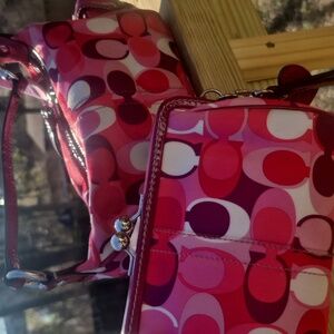 Stylish Pink and Red Women's Bag Set